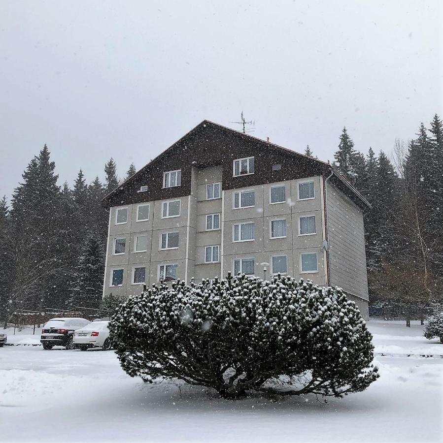 Apartman U Lesa, Srni 119 Dış mekan fotoğraf