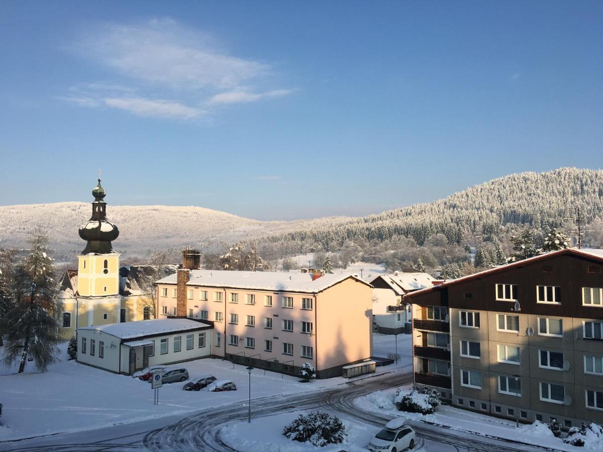 Apartman U Lesa, Srni 119 Dış mekan fotoğraf